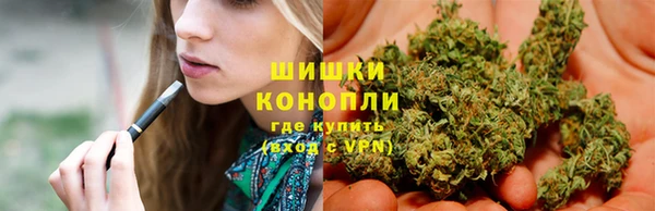 трава Абинск