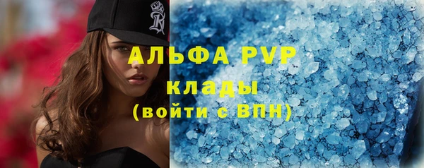 apvp Алзамай