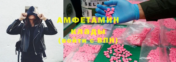apvp Алзамай